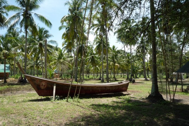 Chantier naval en Thailande (Khao Lak) - Détail de la construction d'un vrai longtail en teck